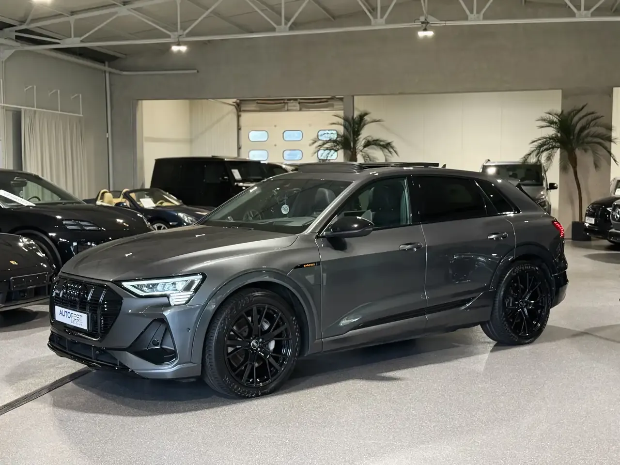 Audi e-tron - 8