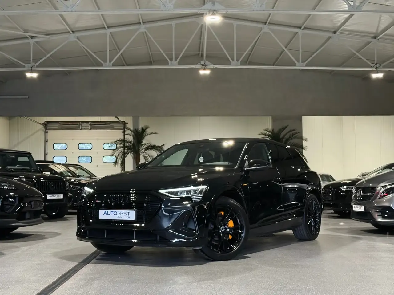 Audi e-tron
