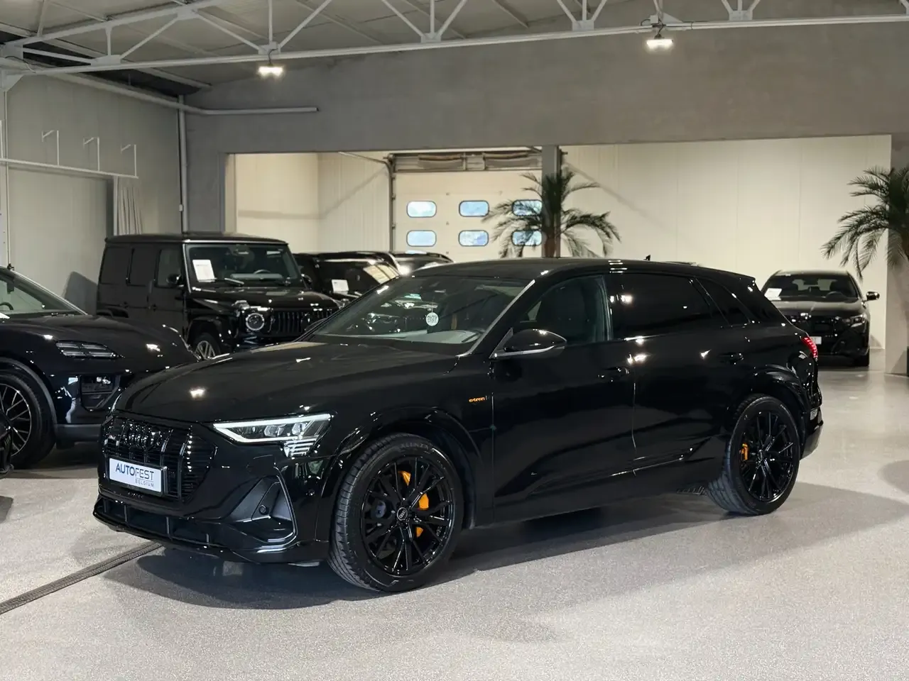 Audi e-tron - 25