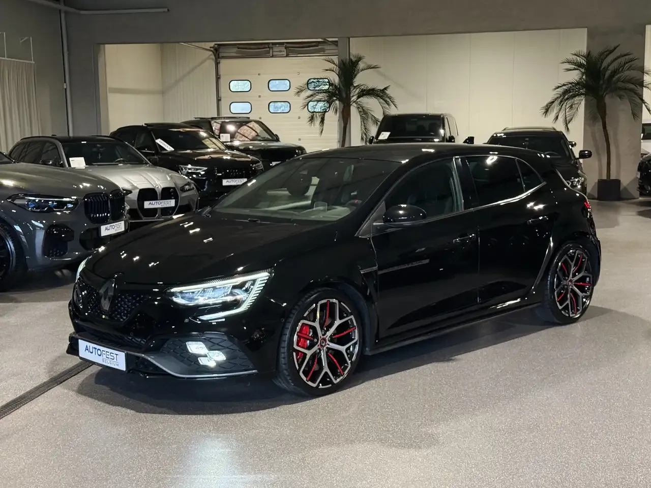 Renault Megane - 15