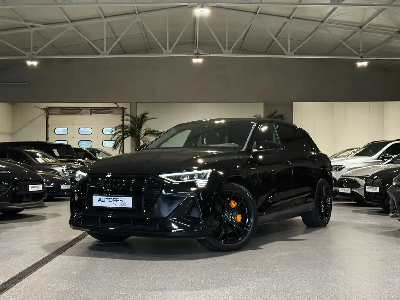Audi e-tron