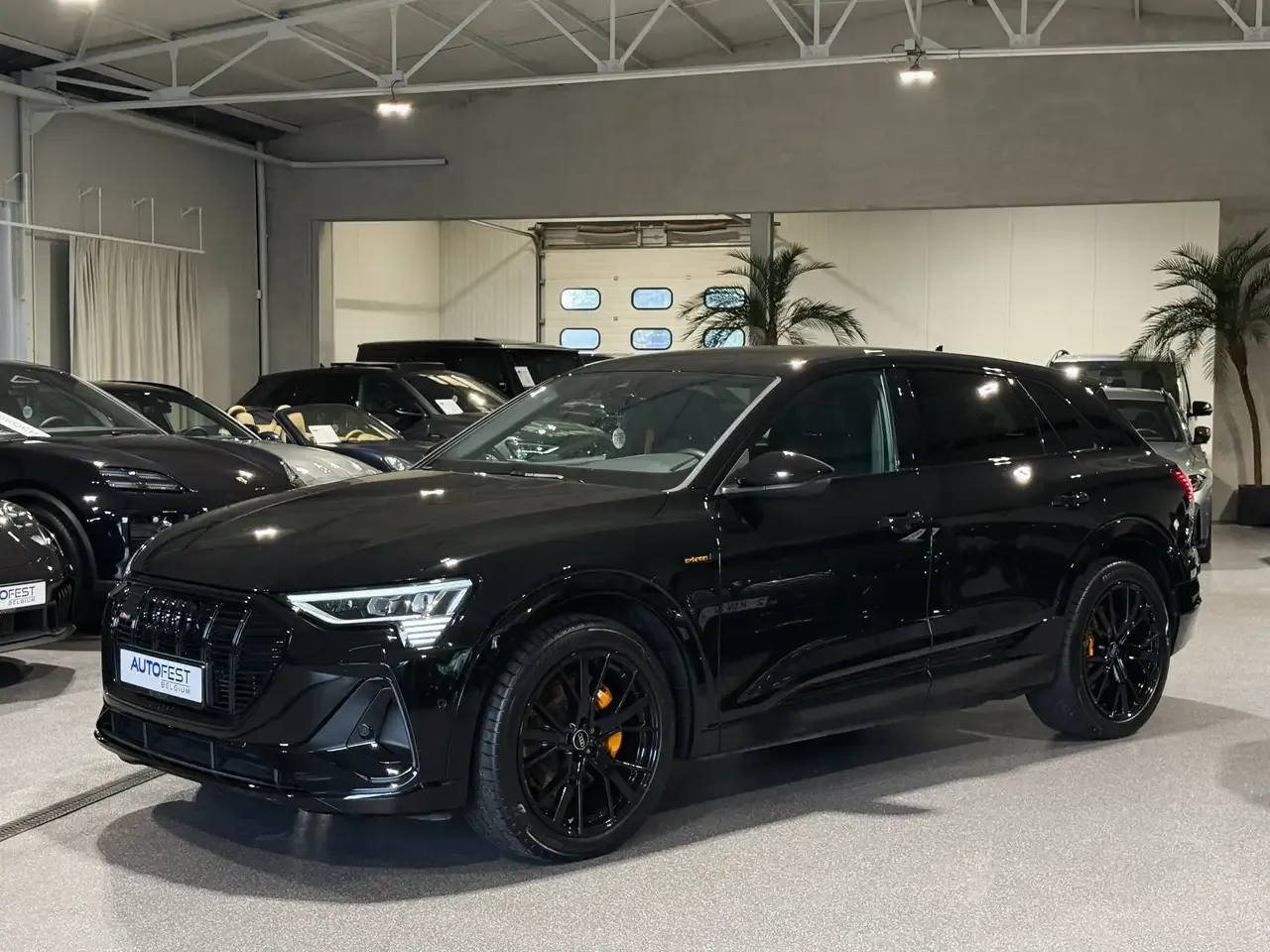 Audi e-tron - 19