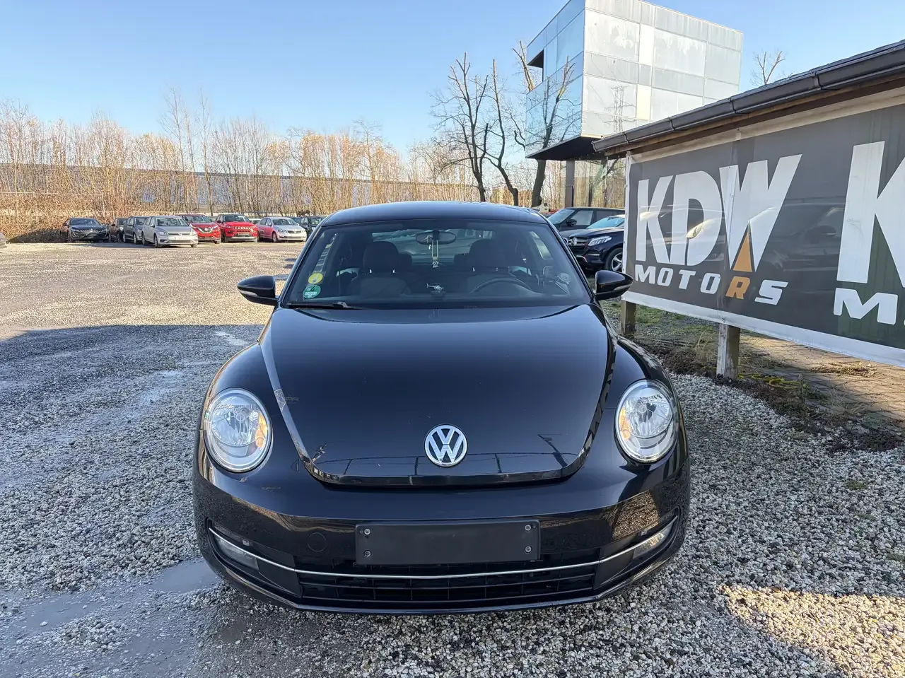 Volkswagen Beetle - 2