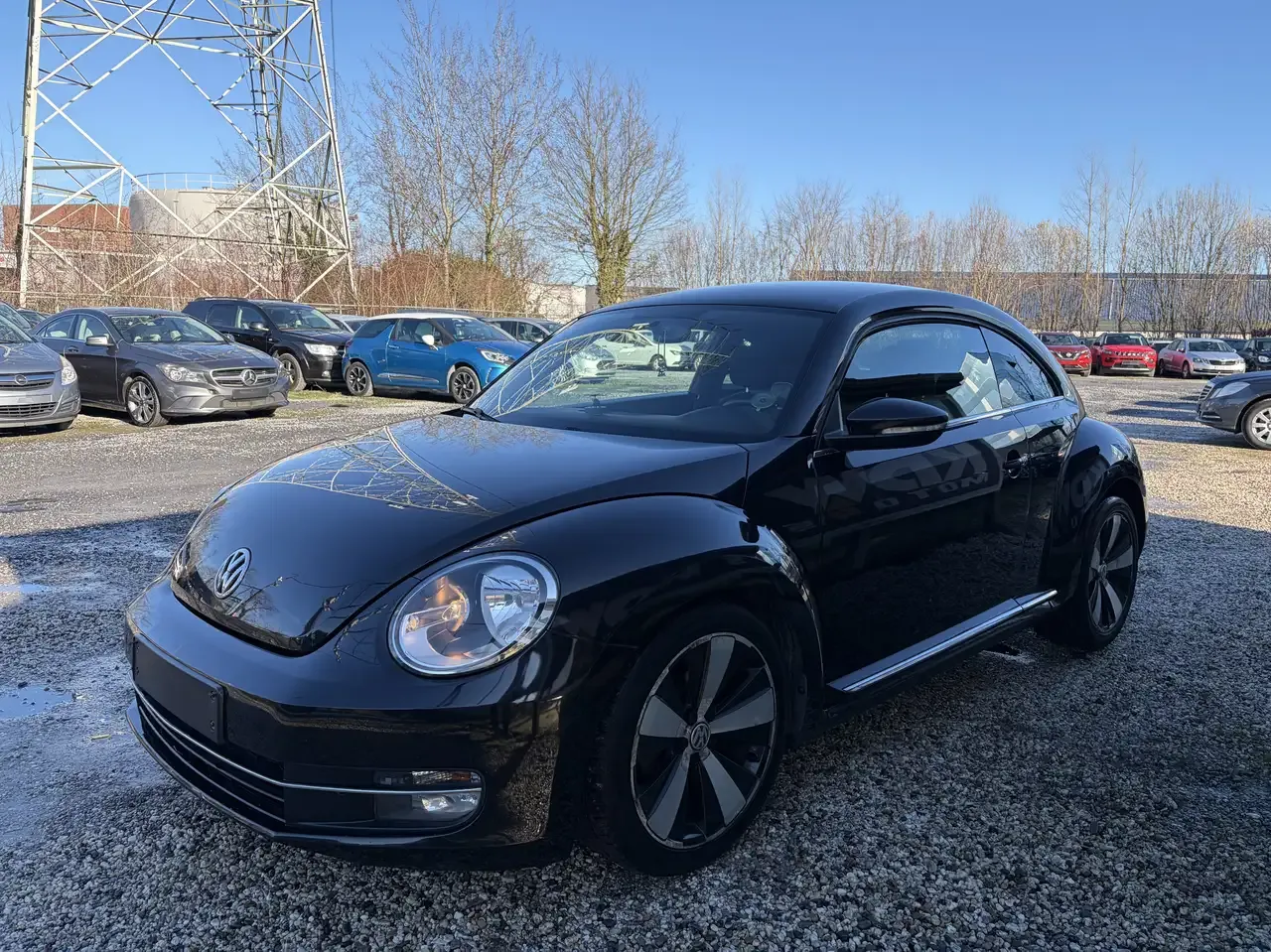 Volkswagen Beetle - 3