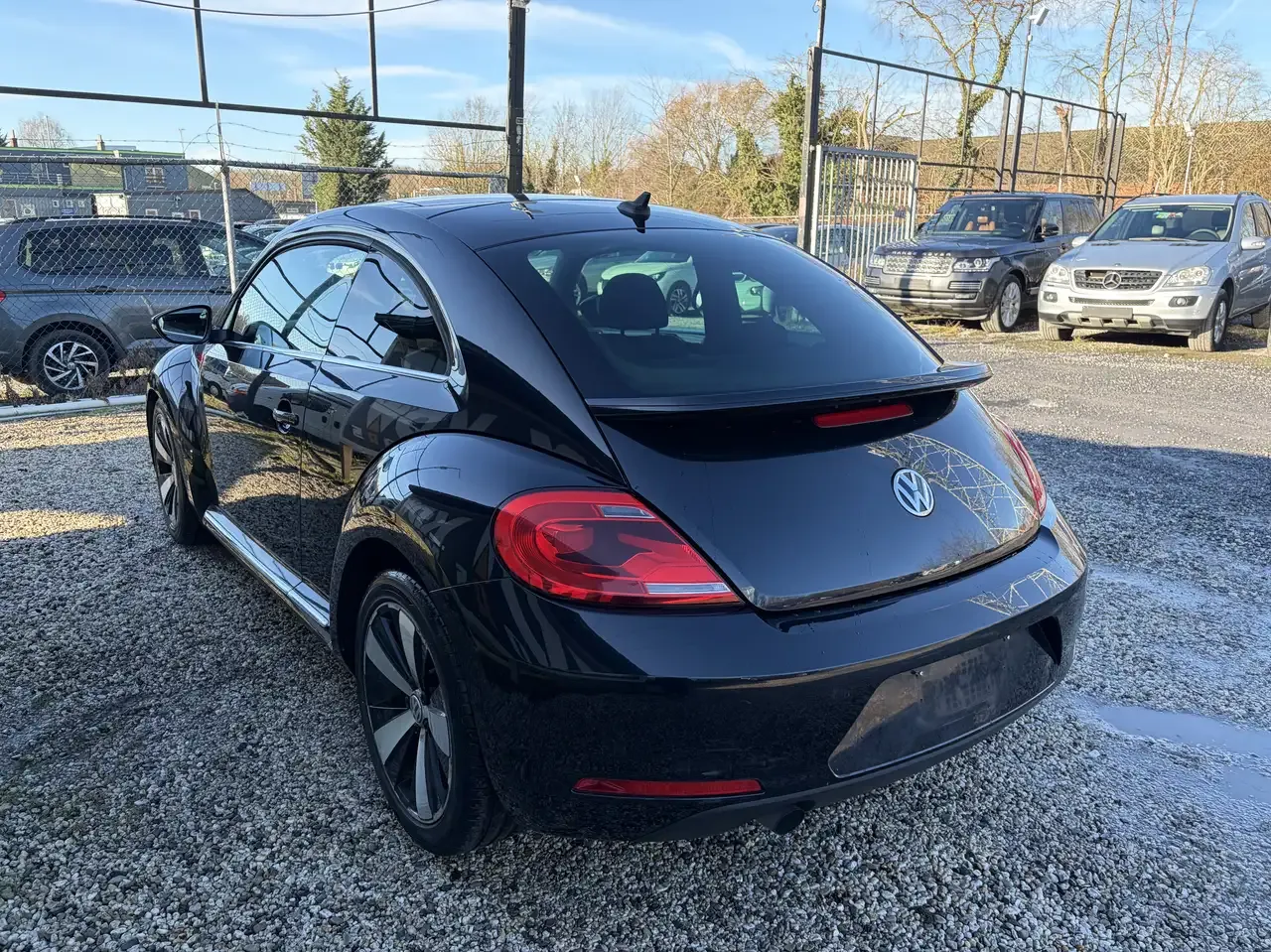 Volkswagen Beetle - 5