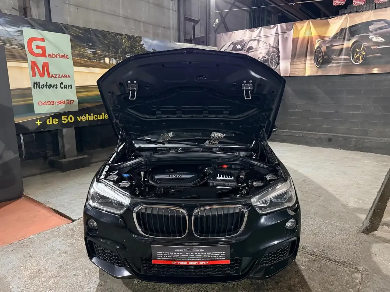 BMW X1 - 6