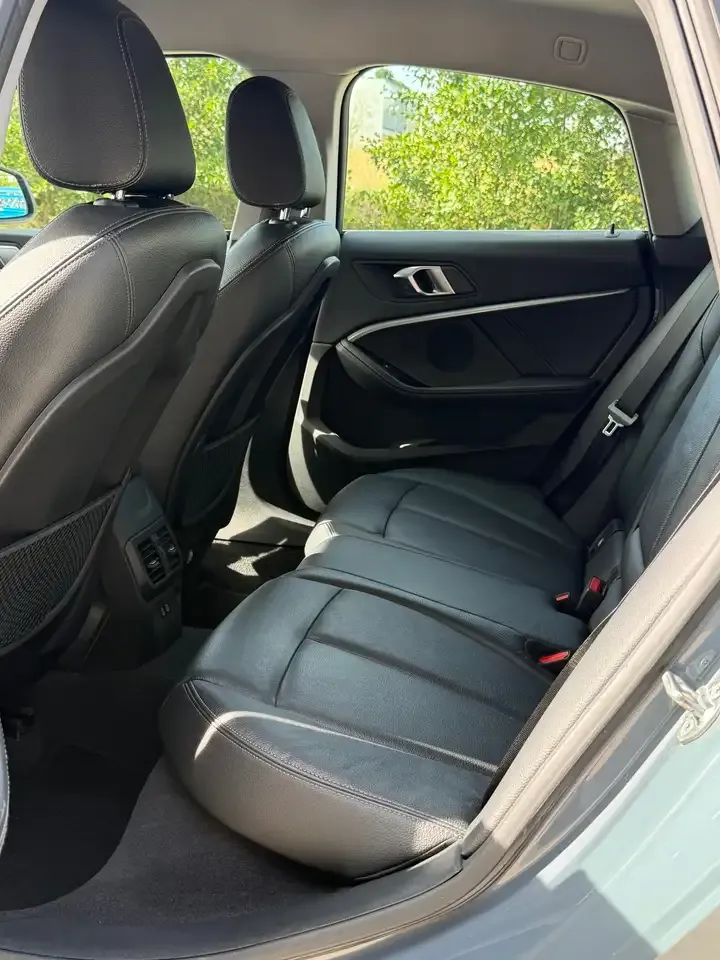 BMW 218 - 17
